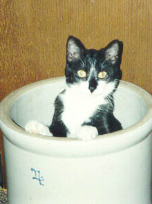 Katie